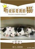 听说你是我的猫星际