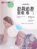 高调冷婚总裁追妻难上难免费阅读