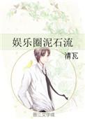 娱乐圈泥石流是指什么