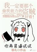 我一定要偷我能力的那个盗贼好看