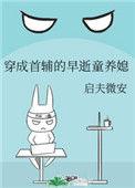 穿成首辅的早逝童养媳作者启夫微安