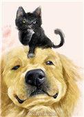 穿成猫后靠玄学爆红免费