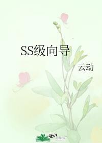 SS级向导云劫免费阅读