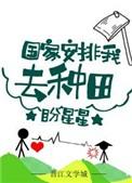 国家安排我去种田 盼星星