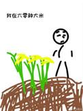 我在六十年代种大米