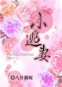小逃妻八月薇妮讲的什么
