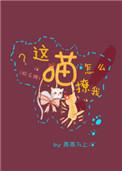 这喵怎么撩我免费全文