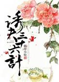诱夫三十六计 梨酒儿盘搜搜