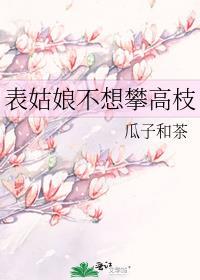 表姑娘不想攀高枝TXT