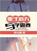 重生渣夫与学霸妻百度