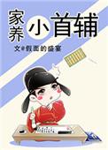 家养小首辅 假面的盛宴晋江