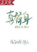 真替身假替身什么意思