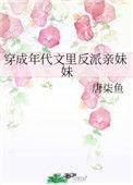 穿越成年代文反派亲妹妹