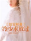 冷少甜妻有些萌免费阅读