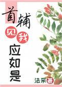 首辅见我应如是 法采番外