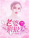 宠妻成瘾霸道boss狠狠爱