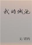 我的城池营垒 王继续