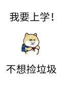 砸锅卖铁去上学简介