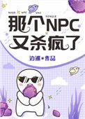 那个NPC又杀疯了by边巡免费阅读