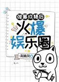 弹幕系列