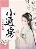 通房宠讲什么