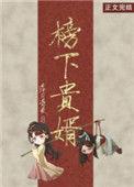 榜下贵婿电视剧