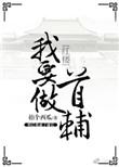 我要做首辅好看吗