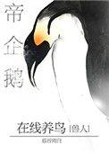 帝企鹅在线养鸟读零零