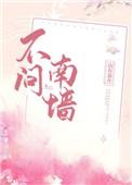 不问南墙TXT