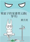 败家子的宠妻青云路