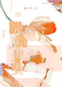 完美夫妻短剧热播