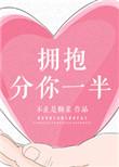 拥抱分你一半介绍