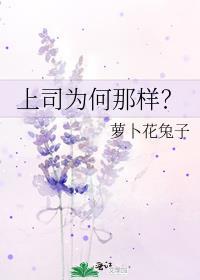上司为何那样?by归渔