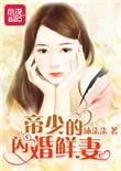 闪婚鲜妻霍少宠妻