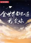 全世界都知道我爱你dj