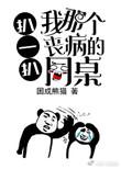 扒一扒我那个丧病的同桌 困成熊猫