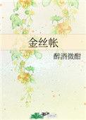 金丝帐全文免费阅读