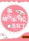 我被反派学校录取了(出版名星河)