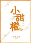 小甜橙宠物品牌