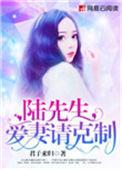 陆先生宠妻请克制txt