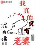 我真的只有一个老婆 泥白佛