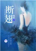 断翅的蝴蝶飞范逸臣