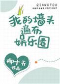 我的墙头遍布娱乐圈全文免费阅读