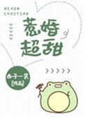 惹婚超甜全文阅读