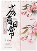 清穿太子妃1v1