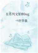 在系列文里修bug41