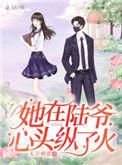 她在陆爷心头纵了火作者无尽相思