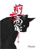 前方高能短剧免费观看
