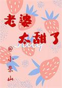老婆太甜了全文阅读
