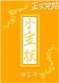 太子殿下的小金枝